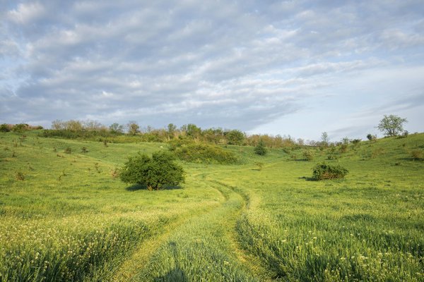 Campingsoleil Fortmahon